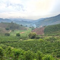 Brazil Cahoeira da Grama Natural 226g Bohne