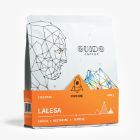 Ethiopia Lalesa 250g Bohne (Omni)