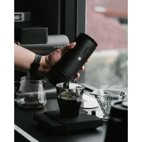 Whirly 01S schwarz