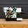 Linea Mini R Streetart Special Edition "Cren One"