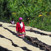 Rwanda Kamonyi Bio 226g Bohne