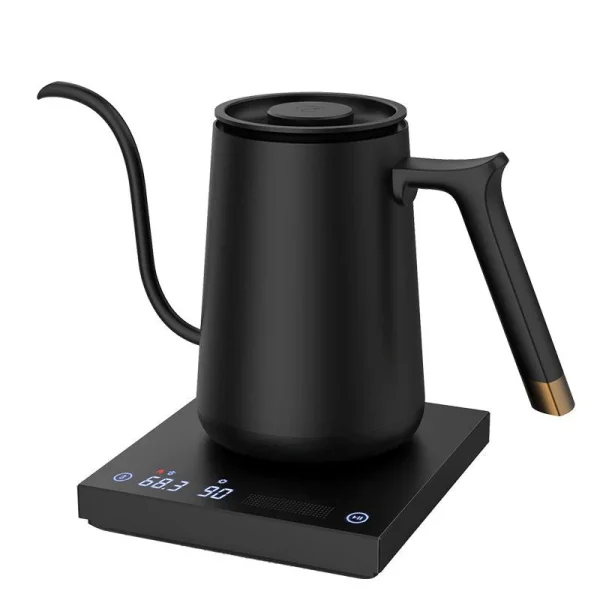 Fish Smart Pourover Kettle 600ml