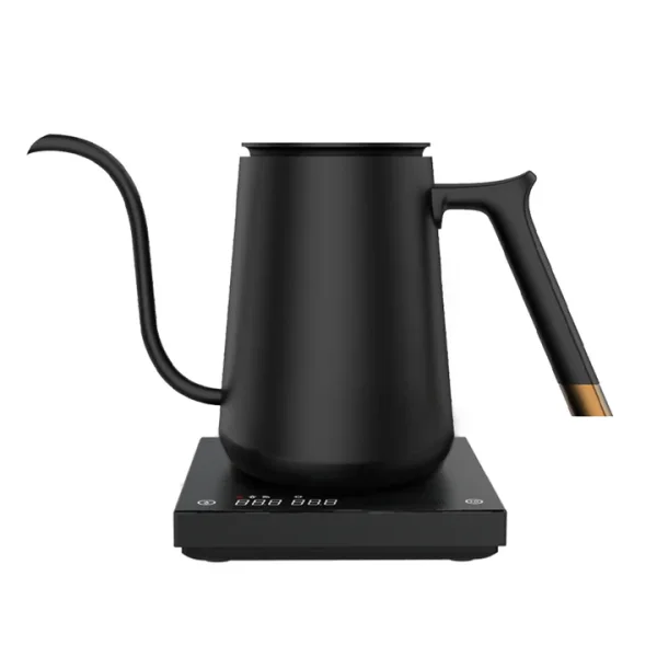 Fish Smart Pourover Kettle 600ml schwarz